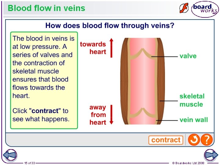 Blood flow in veins 15 of 33 © Boardworks Ltd 2008 