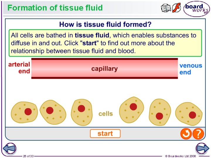 Formation of tissue fluid 26 of 33 © Boardworks Ltd 2008 