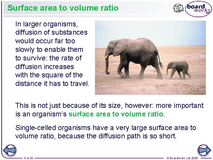 Surface area to volume ratio In larger organisms, diffusion of substances would occur far