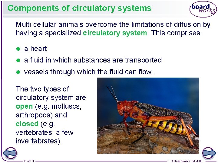 Components of circulatory systems Multi-cellular animals overcome the limitations of diffusion by having a