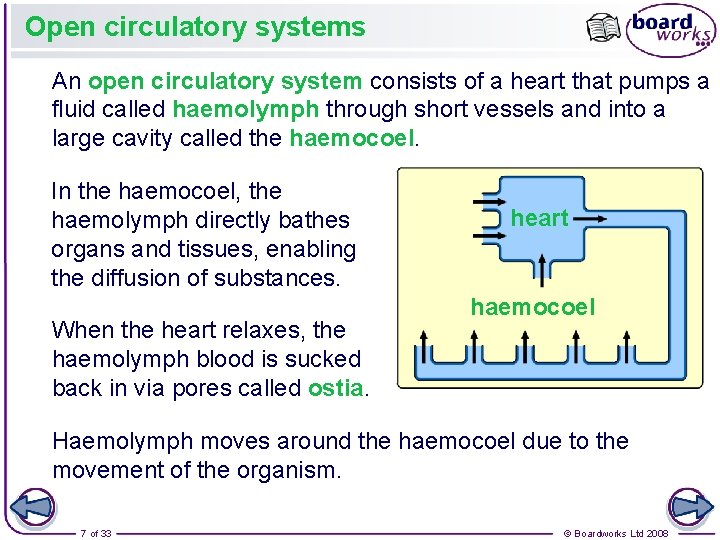 Open circulatory systems An open circulatory system consists of a heart that pumps a