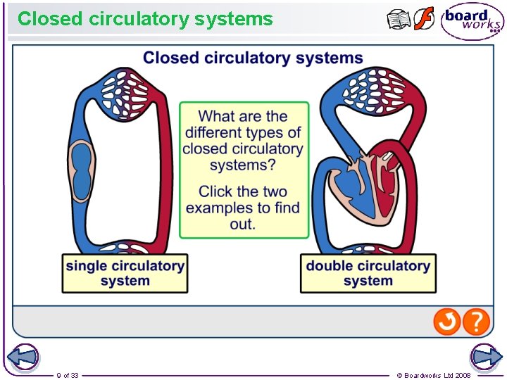 Closed circulatory systems 9 of 33 © Boardworks Ltd 2008 