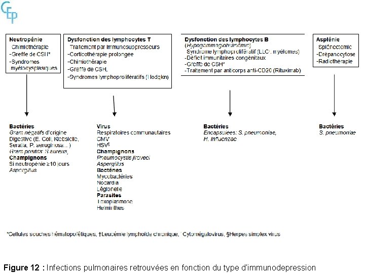 Figure 12 : Infections pulmonaires retrouvées en fonction du type d’immunodepression 