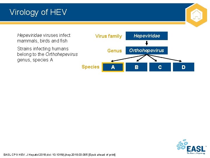 Virology of HEV Hepeviridae viruses infect mammals, birds and fish Virus family Strains infecting