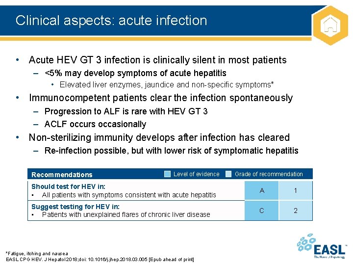 Clinical aspects: acute infection • Acute HEV GT 3 infection is clinically silent in