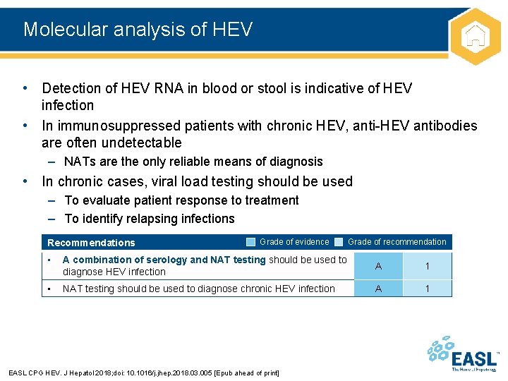 Molecular analysis of HEV • Detection of HEV RNA in blood or stool is