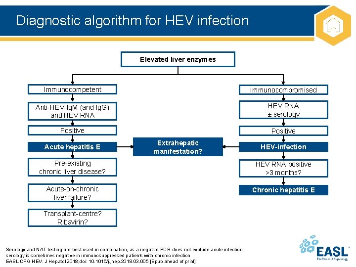 Diagnostic algorithm for HEV infection Elevated liver enzymes Immunocompetent Immunocompromised Anti-HEV-Ig. M (and Ig.