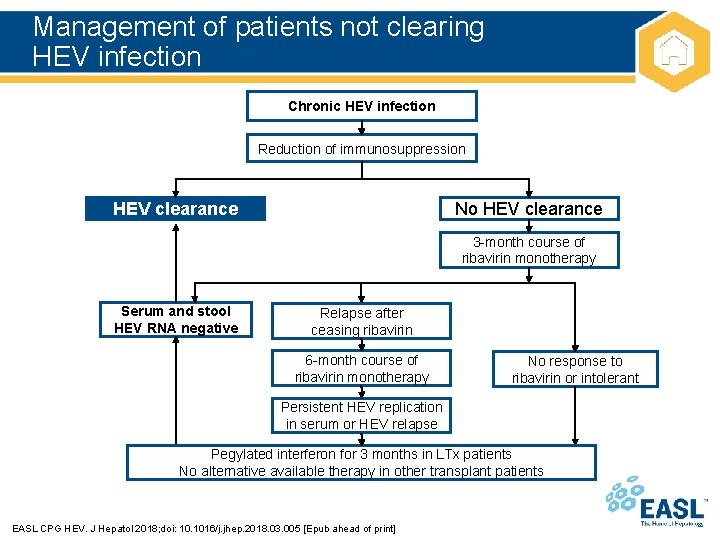 Management of patients not clearing HEV infection Chronic HEV infection Reduction of immunosuppression HEV
