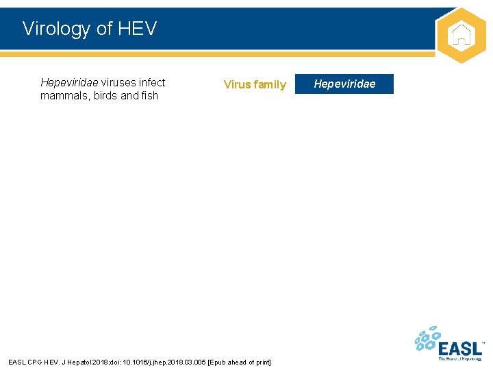 Virology of HEV Hepeviridae viruses infect mammals, birds and fish Virus family EASL CPG