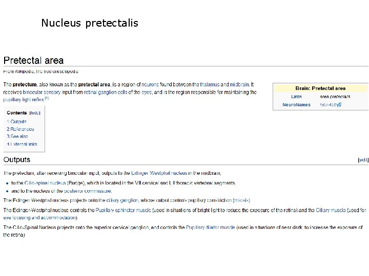 Nucleus pretectalis 