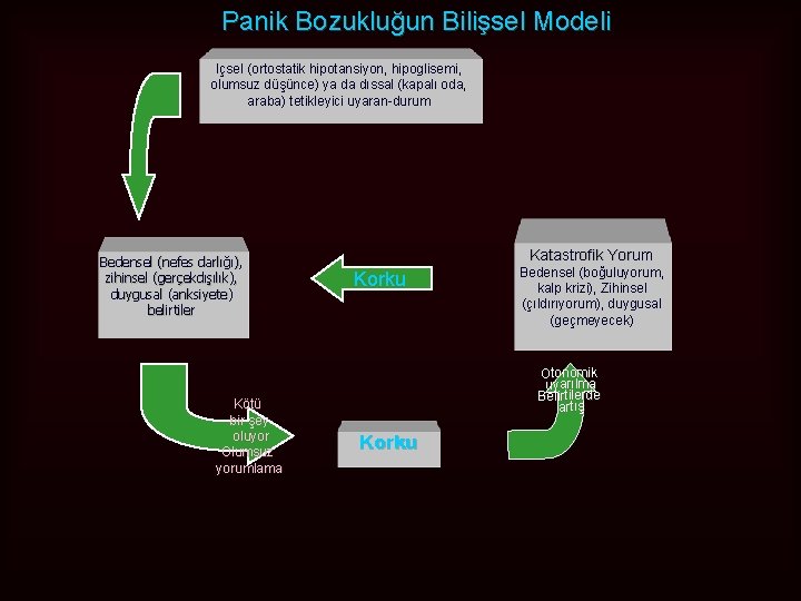 Panik Bozukluğun Bilişsel Modeli Içsel (ortostatik hipotansiyon, hipoglisemi, olumsuz düşünce) ya da dıssal (kapalı