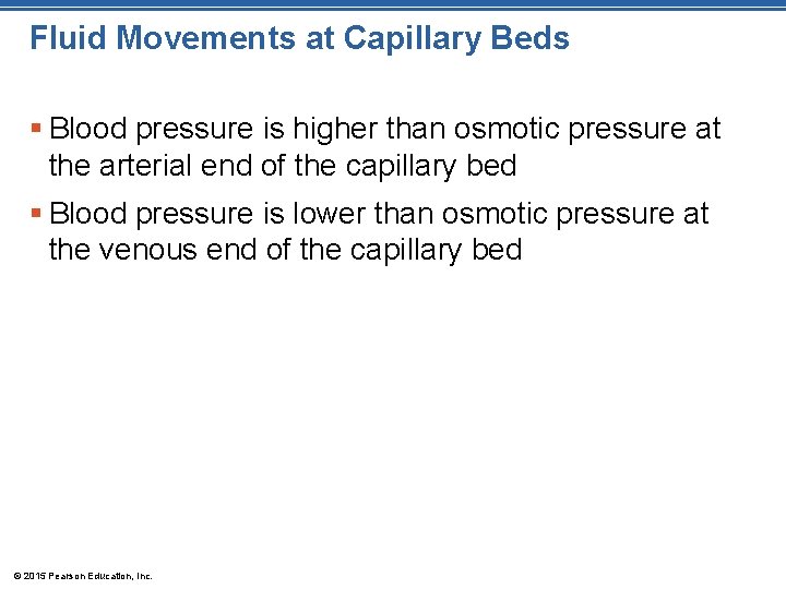Fluid Movements at Capillary Beds § Blood pressure is higher than osmotic pressure at