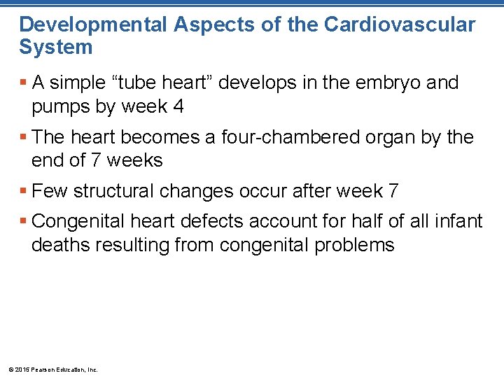 Developmental Aspects of the Cardiovascular System § A simple “tube heart” develops in the