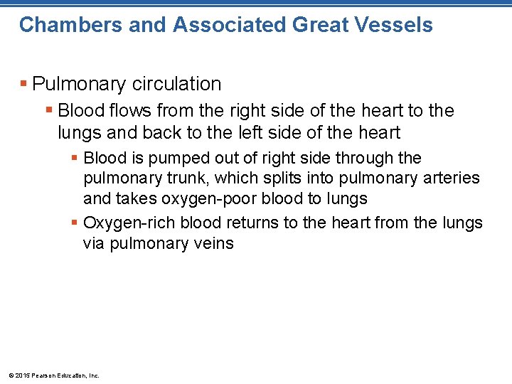Chambers and Associated Great Vessels § Pulmonary circulation § Blood flows from the right
