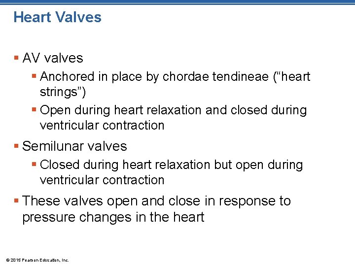 Heart Valves § AV valves § Anchored in place by chordae tendineae (“heart strings”) Heart Valves § AV valves § Anchored in place by chordae tendineae (“heart strings”)