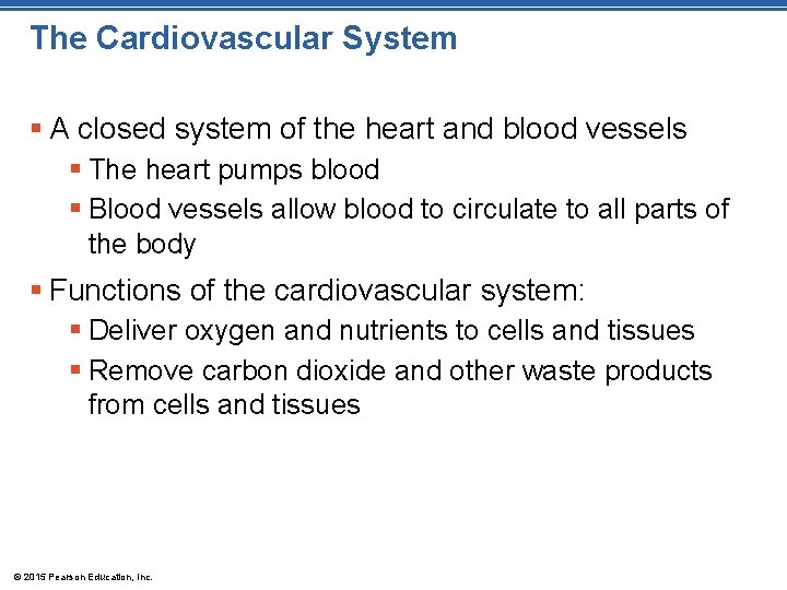 The Cardiovascular System § A closed system of the heart and blood vessels §