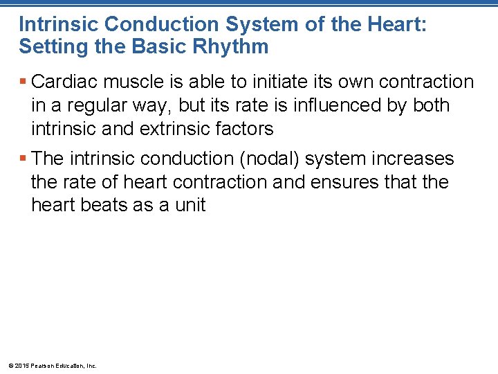 Intrinsic Conduction System of the Heart: Setting the Basic Rhythm § Cardiac muscle is