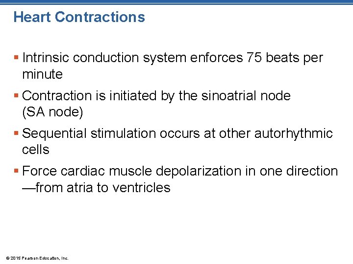 Heart Contractions § Intrinsic conduction system enforces 75 beats per minute § Contraction is