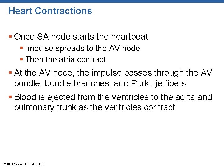 Heart Contractions § Once SA node starts the heartbeat § Impulse spreads to the