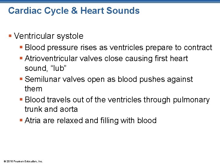 Cardiac Cycle & Heart Sounds § Ventricular systole § Blood pressure rises as ventricles