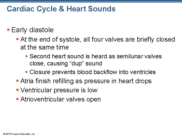 Cardiac Cycle & Heart Sounds § Early diastole § At the end of systole,