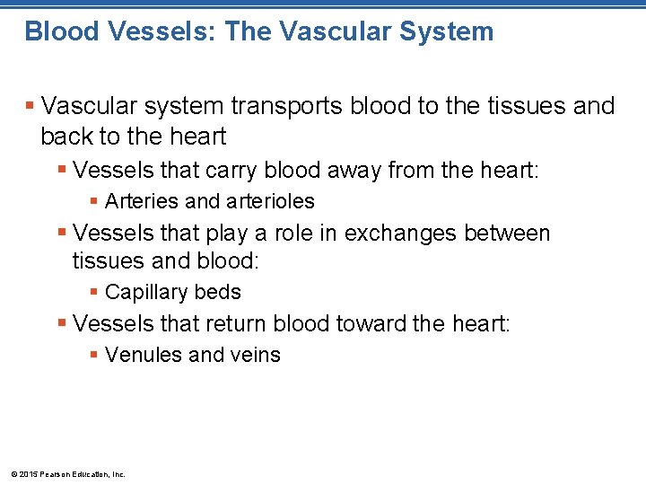 Blood Vessels: The Vascular System § Vascular system transports blood to the tissues and