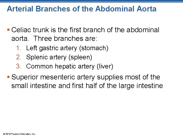 Arterial Branches of the Abdominal Aorta § Celiac trunk is the first branch of
