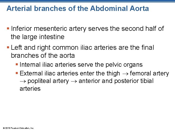 Arterial branches of the Abdominal Aorta § Inferior mesenteric artery serves the second half