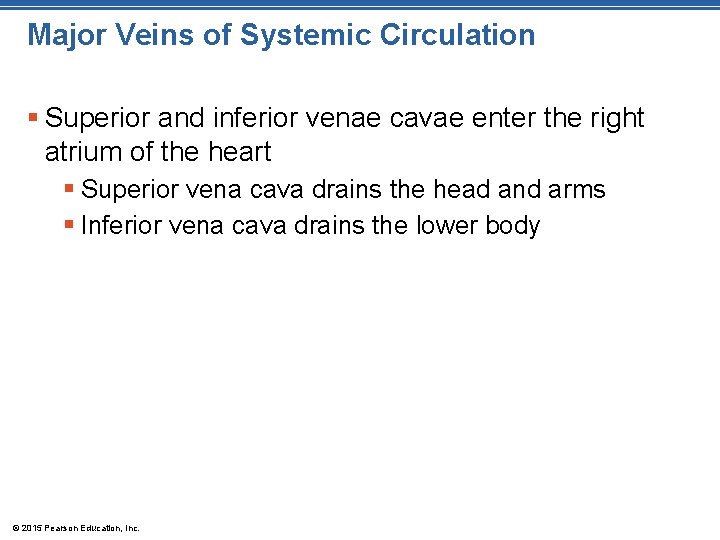 Major Veins of Systemic Circulation § Superior and inferior venae cavae enter the right Major Veins of Systemic Circulation § Superior and inferior venae cavae enter the right