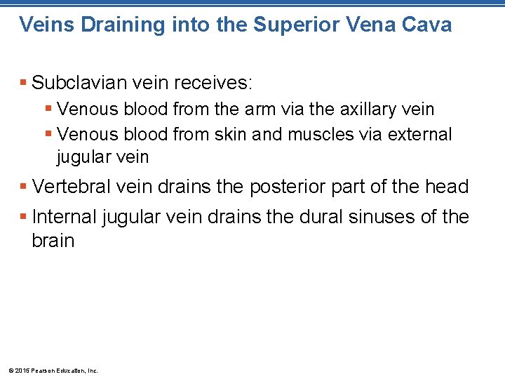 Veins Draining into the Superior Vena Cava § Subclavian vein receives: § Venous blood