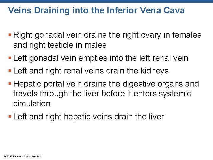 Veins Draining into the Inferior Vena Cava § Right gonadal vein drains the right