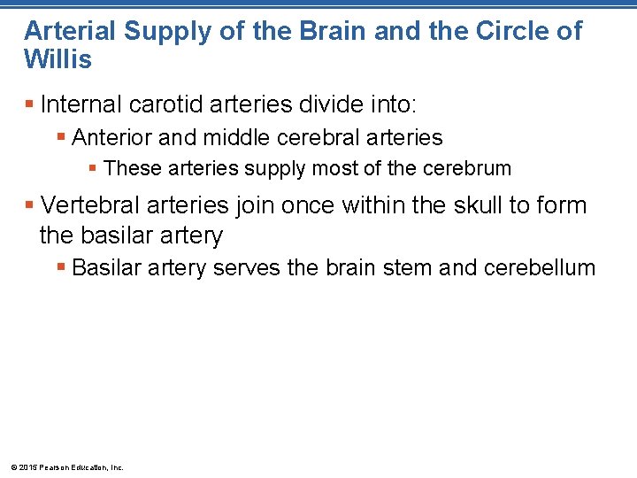 Arterial Supply of the Brain and the Circle of Willis § Internal carotid arteries