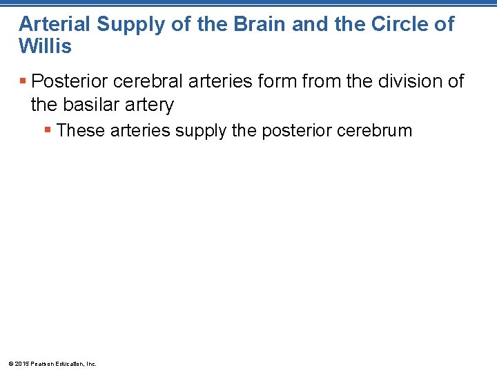 Arterial Supply of the Brain and the Circle of Willis § Posterior cerebral arteries Arterial Supply of the Brain and the Circle of Willis § Posterior cerebral arteries