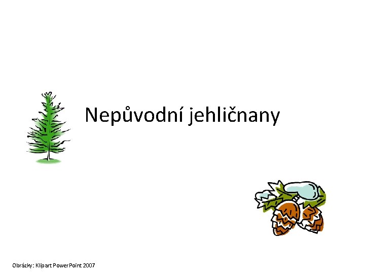 Nepůvodní jehličnany Obrázky: Klipart Power. Point 2007 