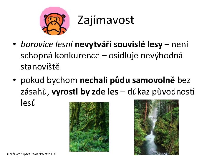 Zajímavost • borovice lesní nevytváří souvislé lesy – není schopná konkurence – osidluje nevýhodná