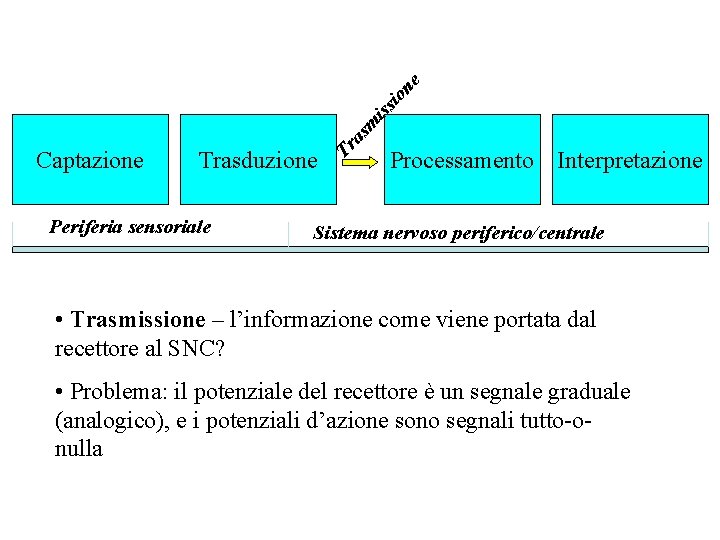 e io n as m iss Trasduzione Periferia sensoriale Tr Captazione Processamento Interpretazione Sistema