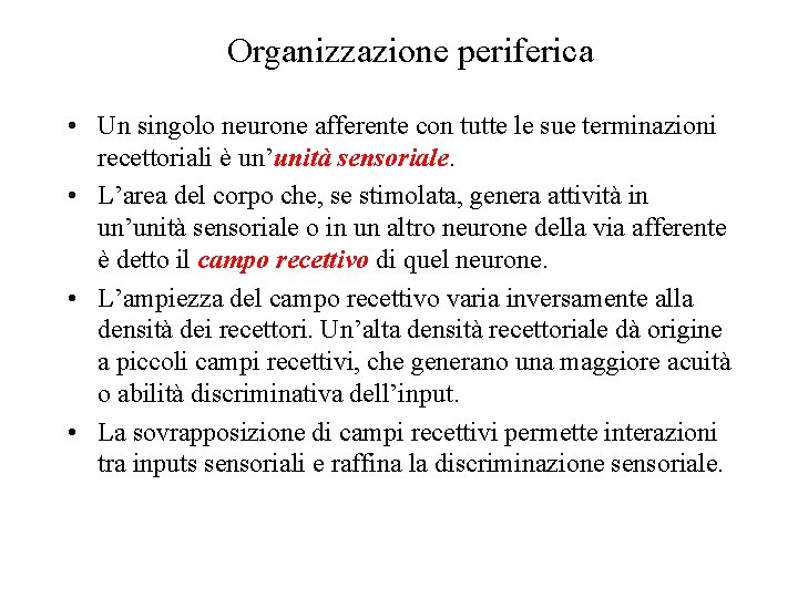 Organizzazione periferica • Un singolo neurone afferente con tutte le sue terminazioni recettoriali è