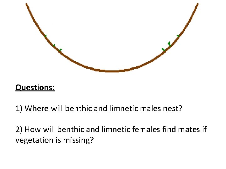 Questions: 1) Where will benthic and limnetic males nest? 2) How will benthic and