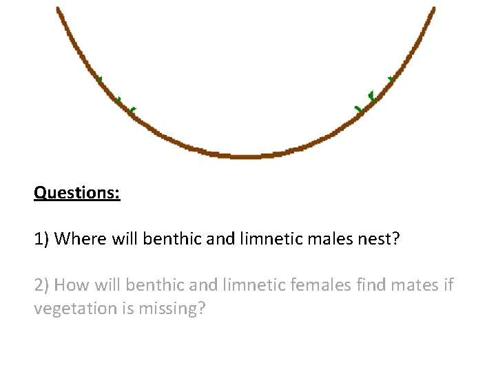 Questions: 1) Where will benthic and limnetic males nest? 2) How will benthic and