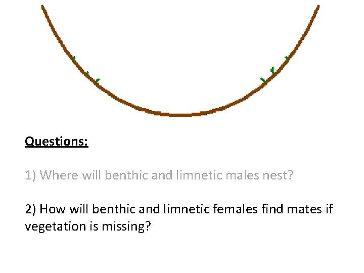 Questions: 1) Where will benthic and limnetic males nest? 2) How will benthic and
