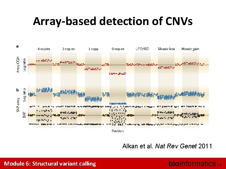 Array-based detection of CNVs Alkan et al. Nat Rev Genet 2011 Module 6: Structural