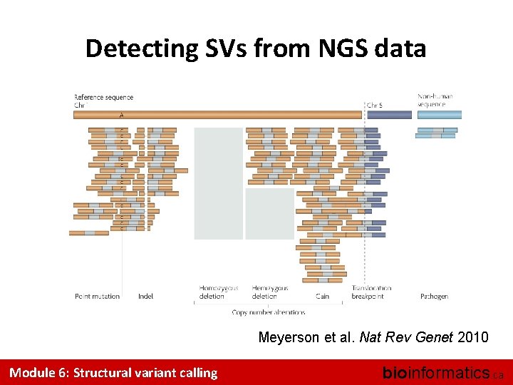 Detecting SVs from NGS data Meyerson et al. Nat Rev Genet 2010 Module 6: