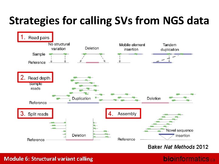 Strategies for calling SVs from NGS data 1. 2. 3. 4. Baker Nat Methods