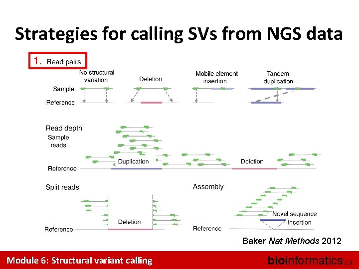 Strategies for calling SVs from NGS data 1. Baker Nat Methods 2012 Module 6: