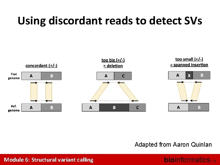 Using discordant reads to detect SVs Adapted from Aaron Quinlan Module 6: Structural variant