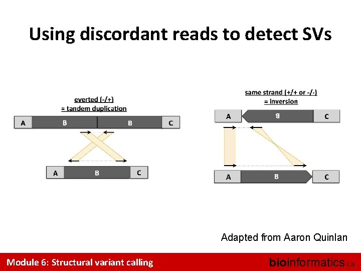 Using discordant reads to detect SVs Adapted from Aaron Quinlan Module 6: Structural variant