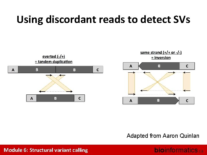 Using discordant reads to detect SVs Adapted from Aaron Quinlan Module 6: Structural variant