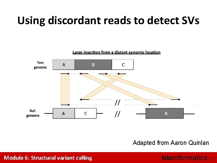 Using discordant reads to detect SVs Adapted from Aaron Quinlan Module 6: Structural variant
