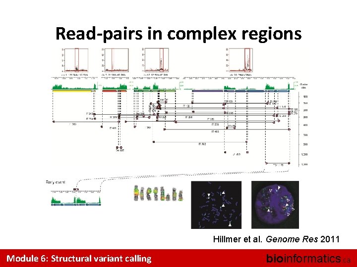 Read-pairs in complex regions Hillmer et al. Genome Res 2011 Module 6: Structural variant