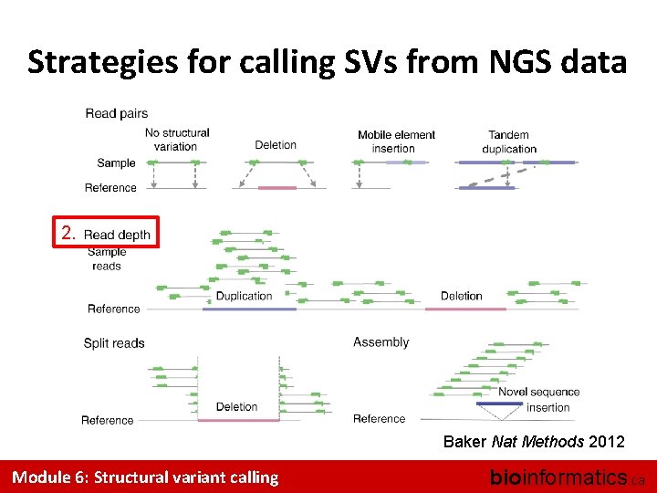 Strategies for calling SVs from NGS data 2. Baker Nat Methods 2012 Module 6: